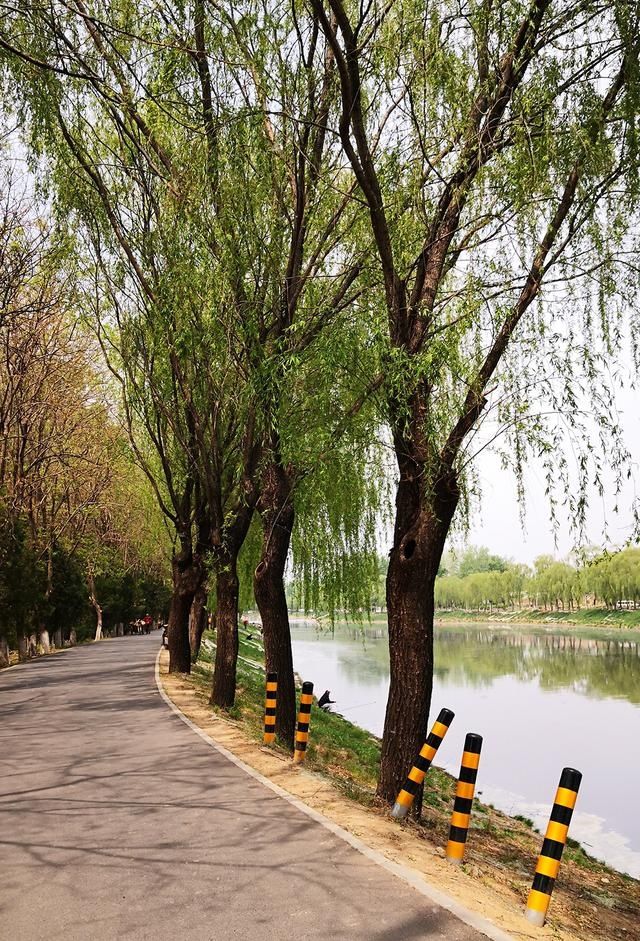  那种■垂钓绿湾春，春深杏花乱。垂钓吗？风景优美的那种！走，钓鱼去喽