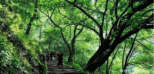 t012307d1a09407323e.jpg?size=640x309