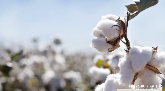 美国这招有点狠, 中国9亿农民也难接招