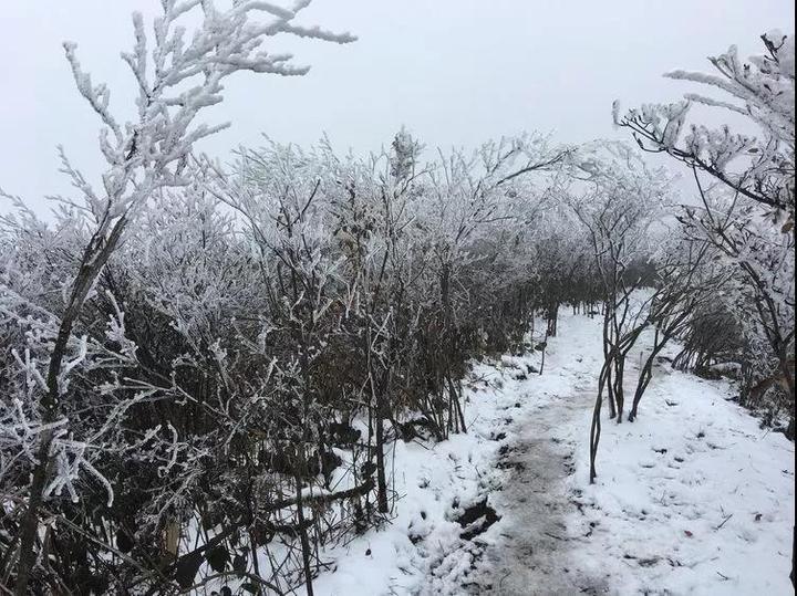 这次，你有错过绿春湖的雪景吗？那种美，简直难以名状……