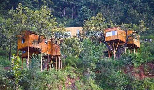 愿有一木屋 · 与你共度余生