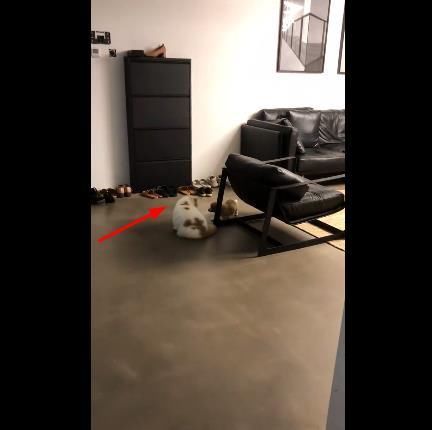 李雨桐晒2000万豪宅被打脸是样板房，卖仿冒家里脏乱差地板还裂缝