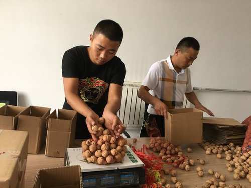 农村有四个新职业，3年后将会吃香，农民不必外出打工都能挣钱