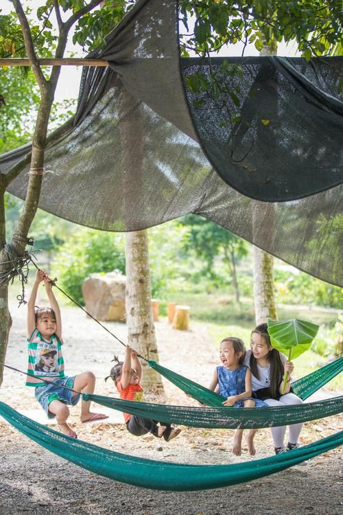 如鹿饮溪，似鲸入海，百年老宅最强改造，这才是魂牵梦萦的设计