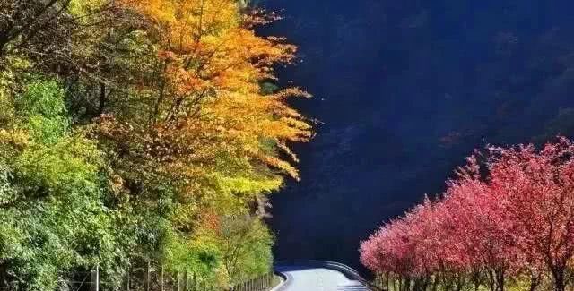 「自驾秦岭」秦岭这5条老公路，承包了最斑斓的深山秋色