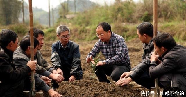 2019年农村创业做什么最赚钱，这几种农业项目最有前景