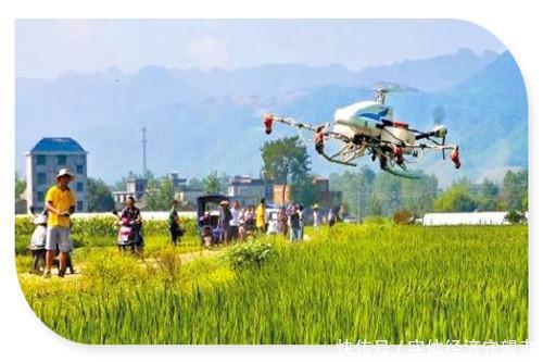  农村@目前在农村小镇上，有哪些具备发展前景的生意项目？这几个