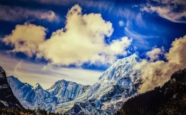 66岁大叔,8年时间打造出了中国最美私家花园,让人叹为观止!