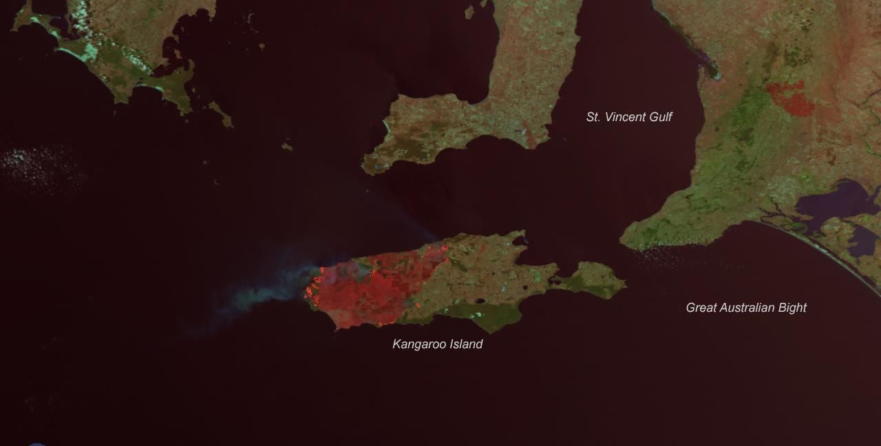 澳洲大火空气变暖