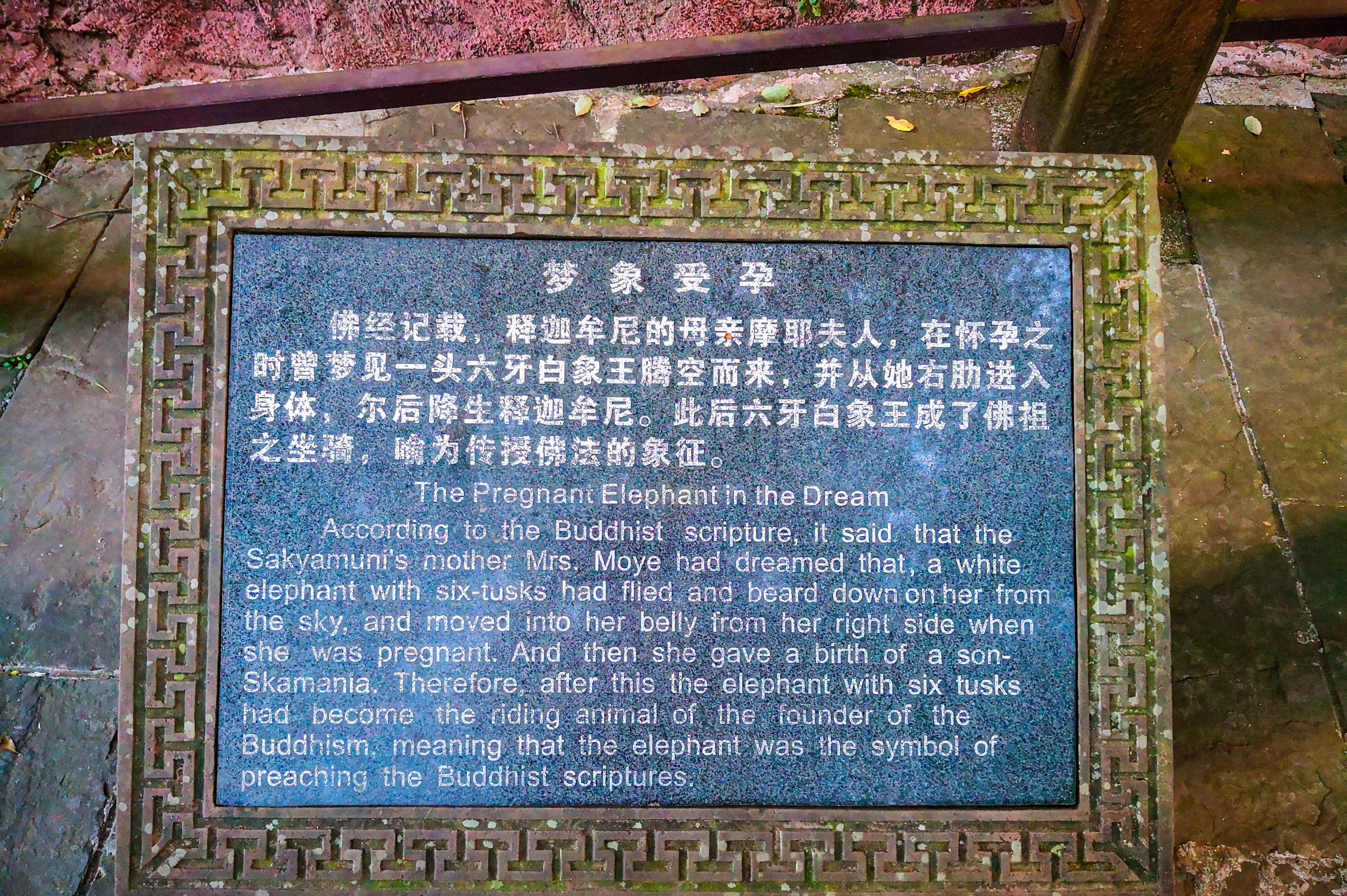 成都出发，周末打卡峨眉山温泉。