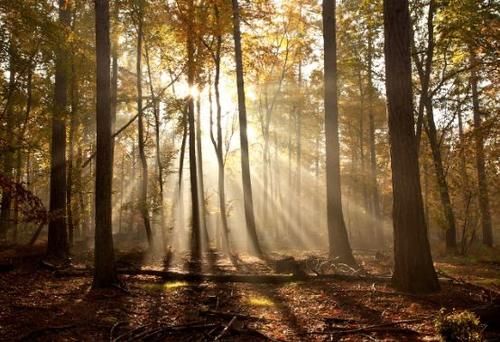 欧洲的秋天，真的不是童话！