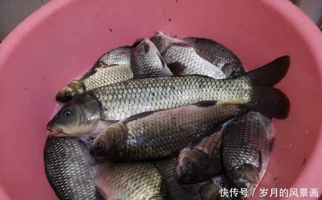  「水口的浅滩」早春钓鱼不要错过这个地方，渔获一定不会差，大部分水域都有