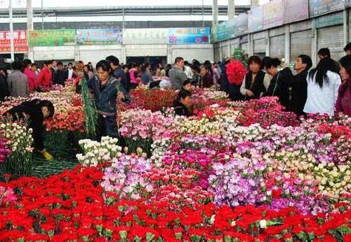 中国九大花卉批发市场，一年四季花飘香，年年岁岁花不同哦