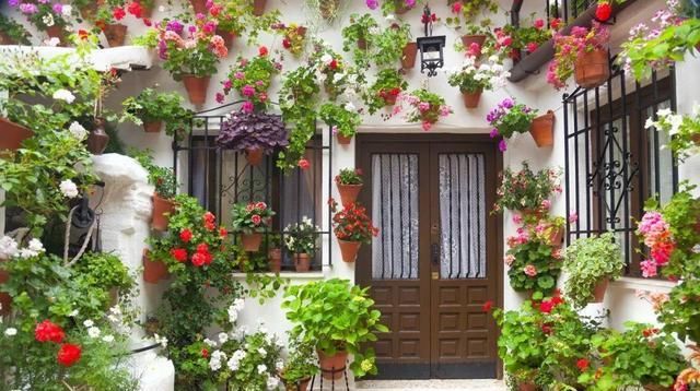 没有院子，就把花挂在墙上养，一眼看过去，像生活在童话世界里