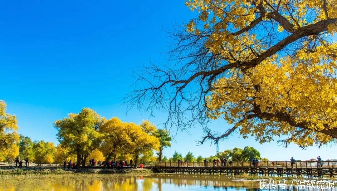 额济纳的秋——三千年的守望，只为等待你的到来