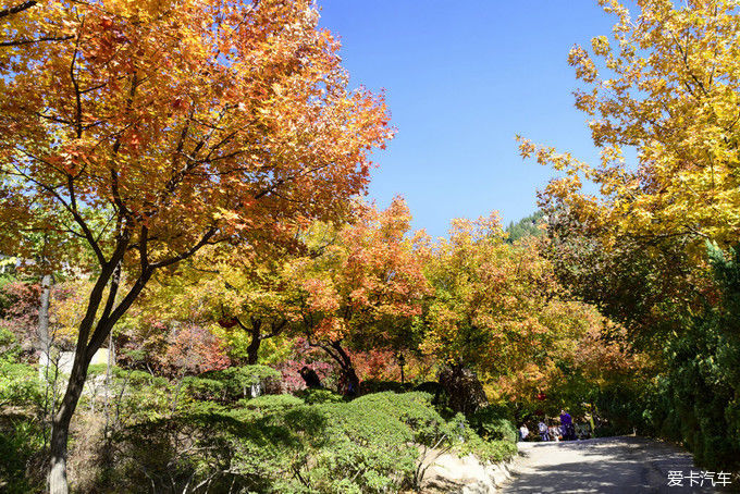 红遍万山的红叶谷【2020热门旅游景点】