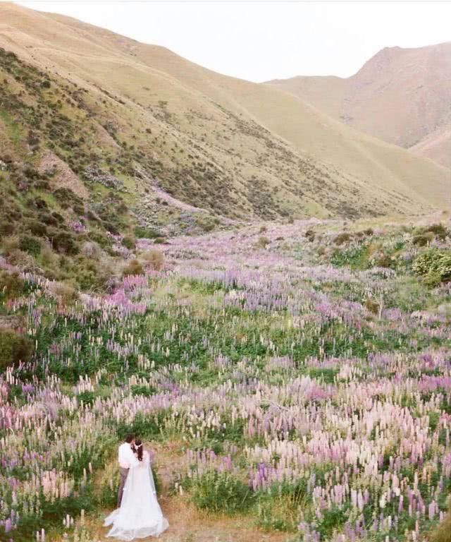  #洗脑#爱上了！和春风一起抵达的香芋紫，比淡黄的长裙还洗脑