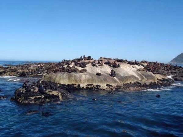 彩虹之国南非，漂洋过海来看你