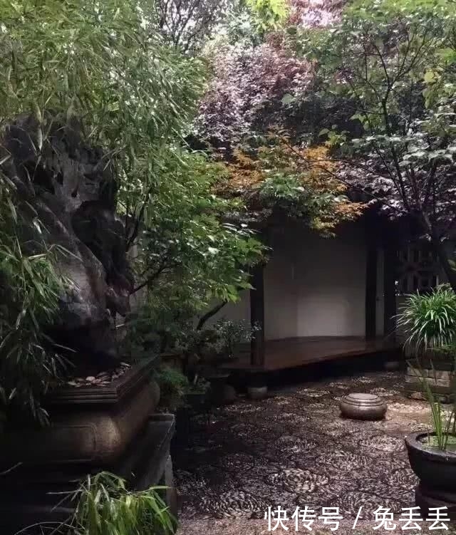  『养花』有个小院子，喝茶养花玩石头
