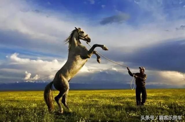 去新疆or去西藏?心累了，去西藏~眼累了，去新疆!