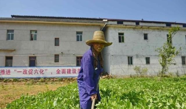  「农民朋友」注意了！农村宅基地出现新政策，“一转一买二退”