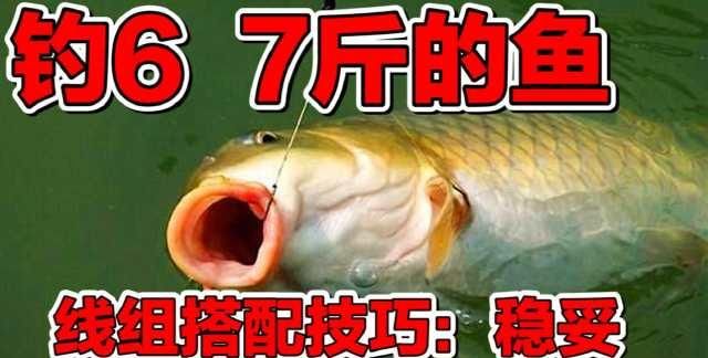 「子线」垂钓7斤8斤的鱼,线组搭配千百种只有这种最稳妥