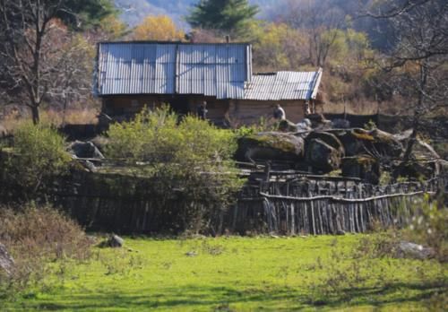 陕西深山藏着个“天然牧场”,风吹草低见牛羊,宛如世外桃源