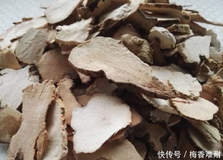  「小伙」农村小伙上山挖土茯苓，一天挖20斤日收入600元，其价值