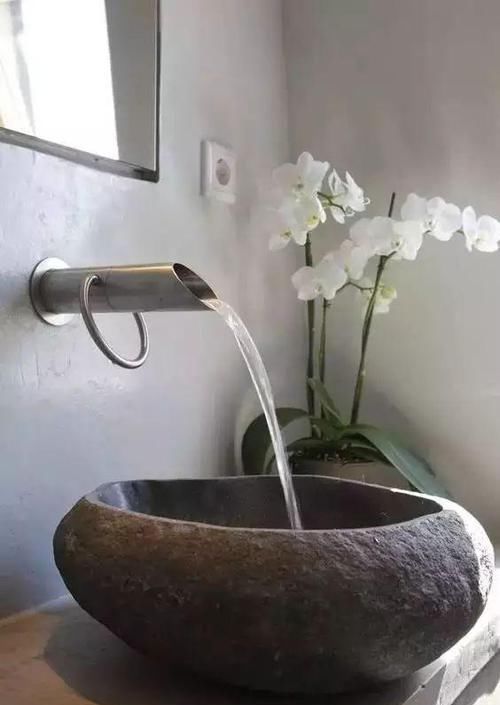  『植物』最适合放在卫生间的10种植物，赶紧养一盆吧！