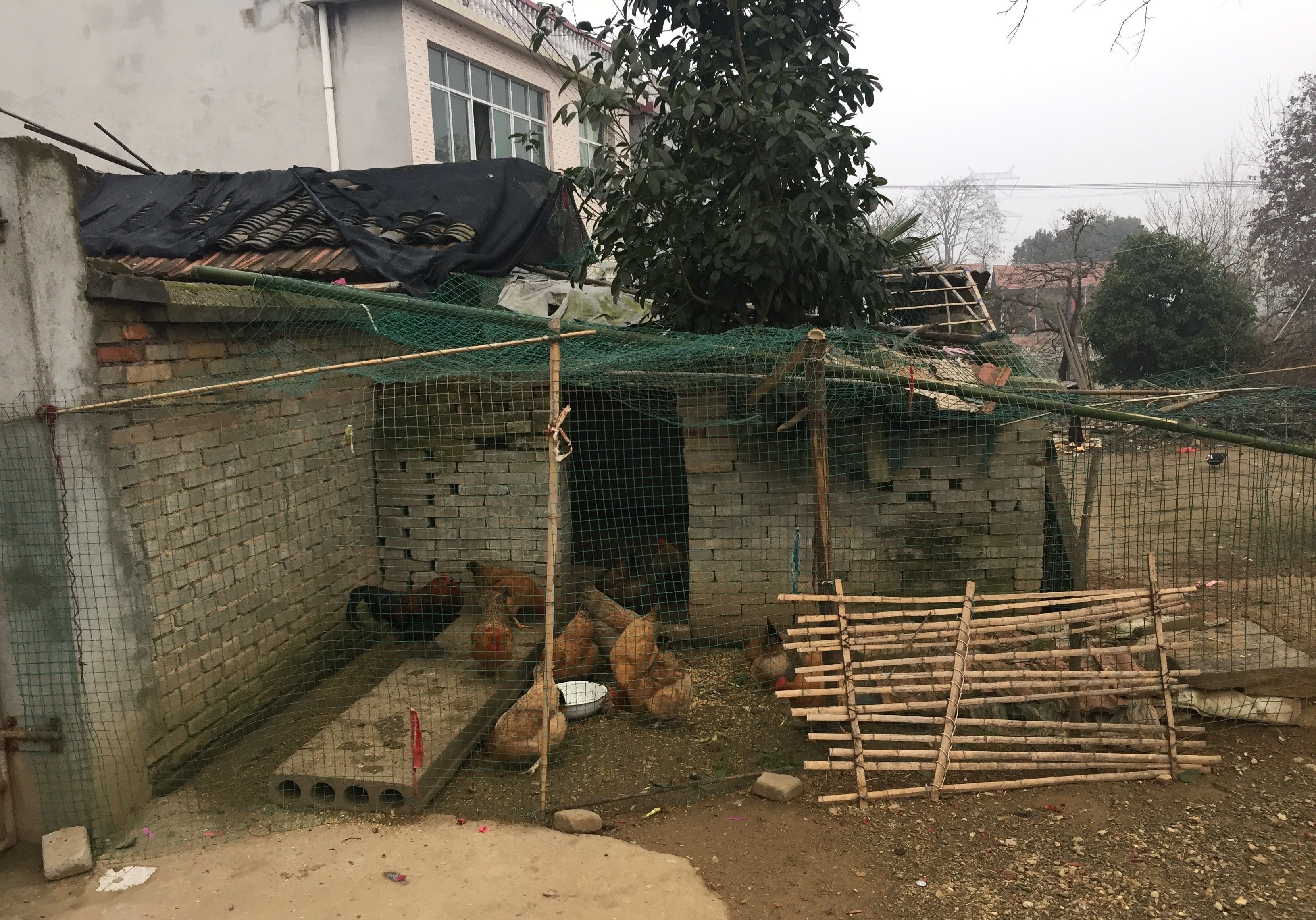 鄂东北农村实拍，满含乡村气息9张图，看看和你的家乡像吗