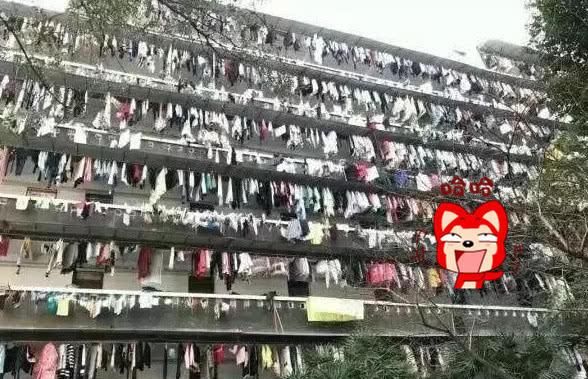  简陋：全国大学宿舍pk，海景房VS“贫民窟”，成绩决定生活质量？