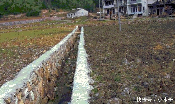 无地农民沸腾吧! 新规来了, 不用再等40年, 这些人同意马上分地!