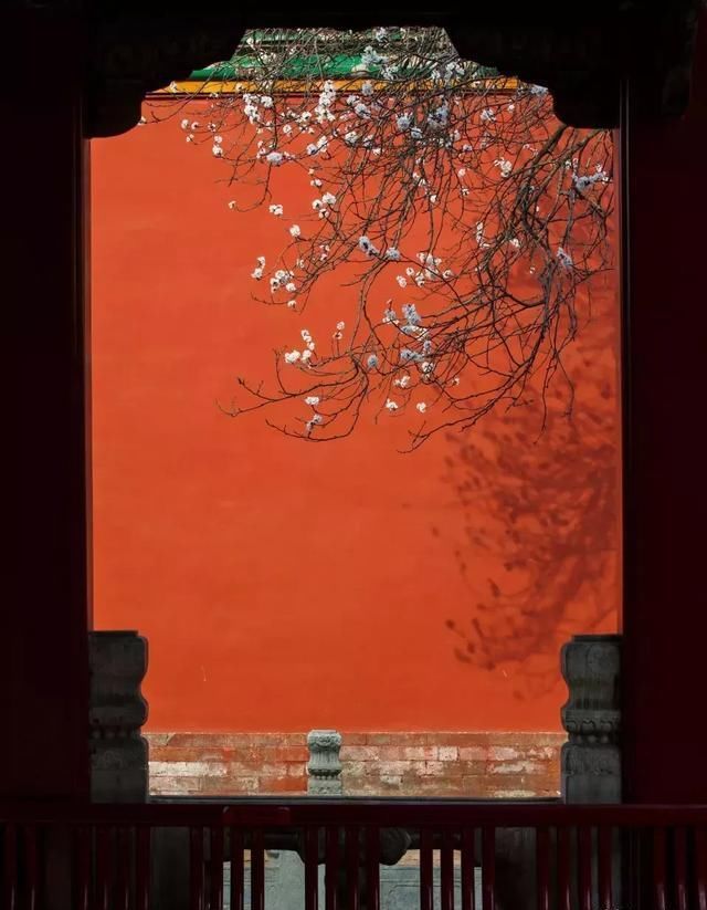 这几个地方景色太美还免费，网友大呼：辞职也要去看看