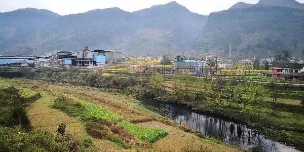 沈从文《边城》诞生地的“锰患”之猛