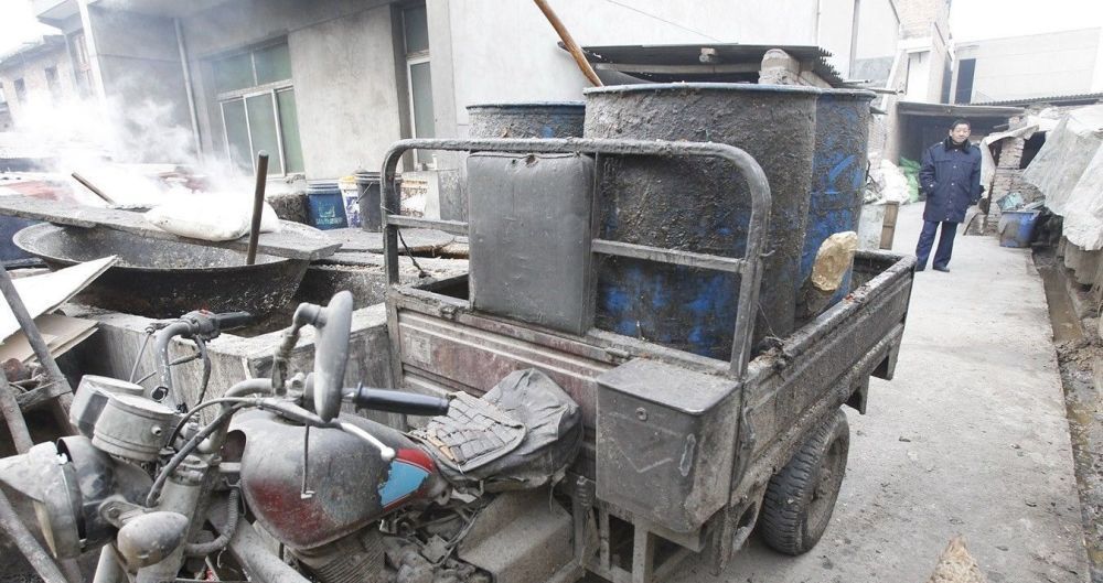  #后厨#以前农村家家都有“泔水猪”，也没出现猪瘟，为啥现在不