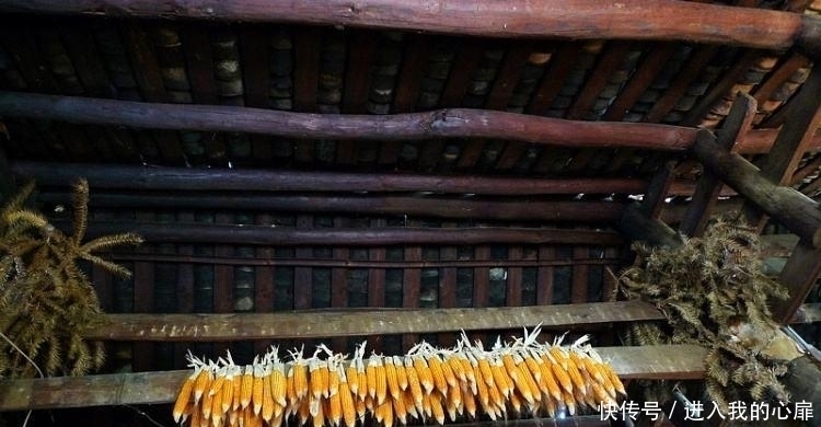  近些年@近些年，时不时有人到农村高价收购房梁，用来干啥？看完才知猫腻