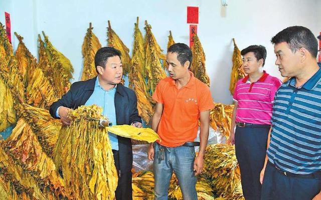 中国最受欢迎的中华香烟,65元的售价成本仅5元