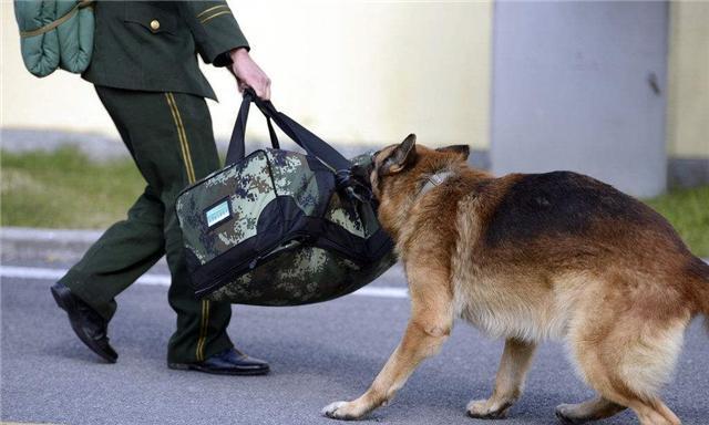 退伍军人的“光荣之家”悬挂完之后，4项福利紧跟着来了，请知悉