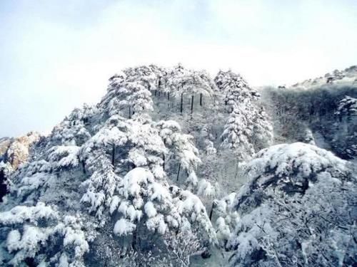 大雪过后的黄山，美景迭出