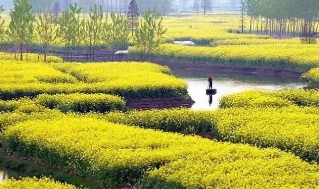 距温州2h的处女小县城，集全了浙江所有令人意外的美景，鲜为人知