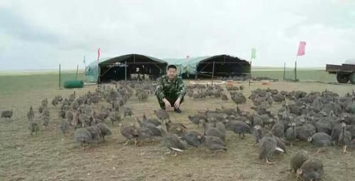  【当地】“蝗虫过境，寸草不留”，那你知道蝗虫最怕什么？怎么