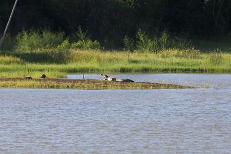 世界容量最大的人造水库，是三峡的4倍，因储水过多引发20次地震