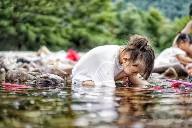 工作20年就退休,带4个闺蜜归隐山林,过上神仙般的生活