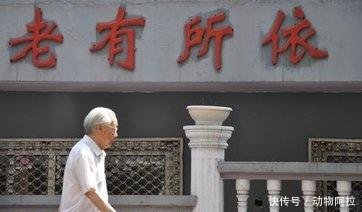 2019年养老金变化，新政出台养老金或增加！这些老人可以得到