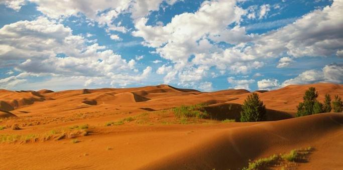 全球唯一“沙漠变绿州”的地方!中国人又创一奇迹,让世界赞叹