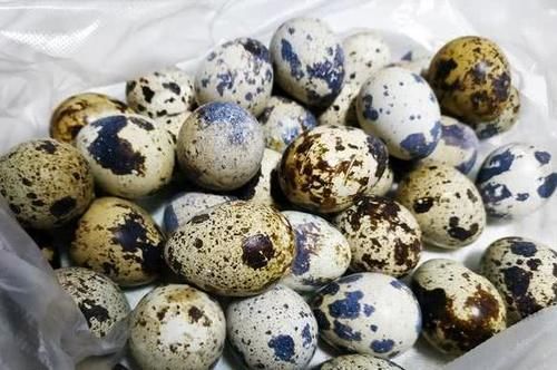  『下饭』这道菜，下饭下酒香辣过瘾，鹌鹑蛋制作简单，家常美味