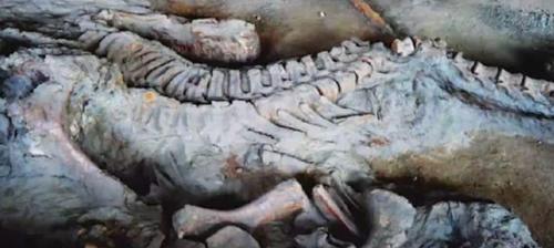 世界未解之谜：老一辈都说看到龙在天上飞，是谣言还是确有其事？