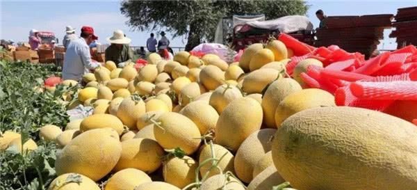 『当地人』中国3座用水果命名的城市,一座比一座甜,当地人为何吐槽不断?