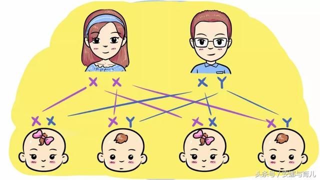 怀孕时酸儿辣女的说法，真的靠谱吗？