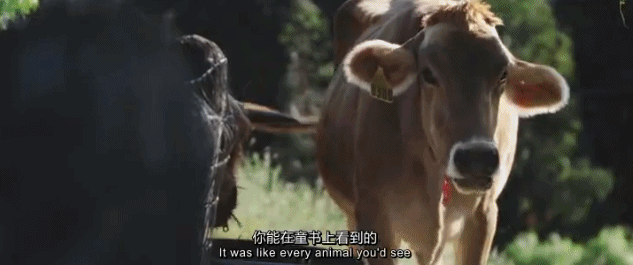  『世外桃源』豆瓣9.2，这「成人」的童话世界太疯狂
